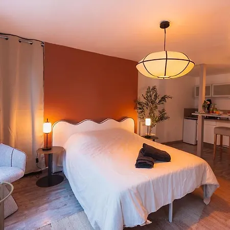 Le Saint-lambert - Cosy En Plein Coeur De * Troyes