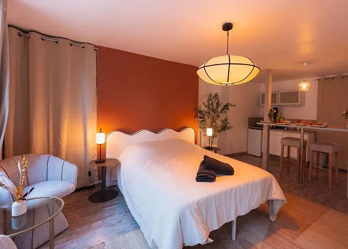 Le Saint-lambert - Cosy En Plein Coeur De * Troyes